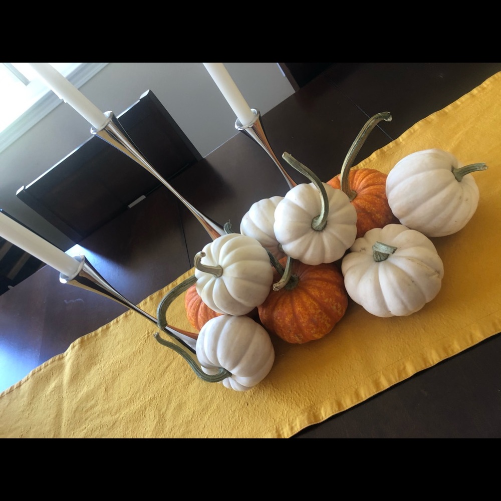 Meet your Posher, Rose